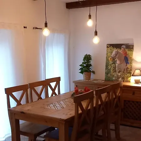Entspannen Auf Dem Kleinen Ponyhof