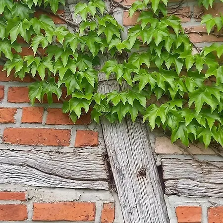 Entspannen Auf Dem Kleinen Ponyhof Apartman *