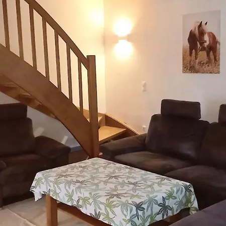 Entspannen Auf Dem Kleinen Ponyhof Schweskau